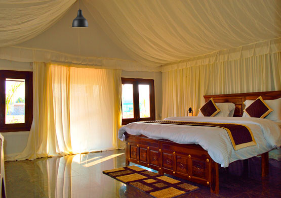 luxury tent stay in jawai 