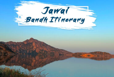 Jawai Bandh Itinerary