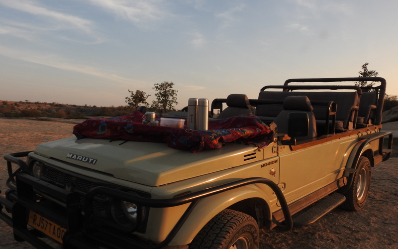 evening leopard safari