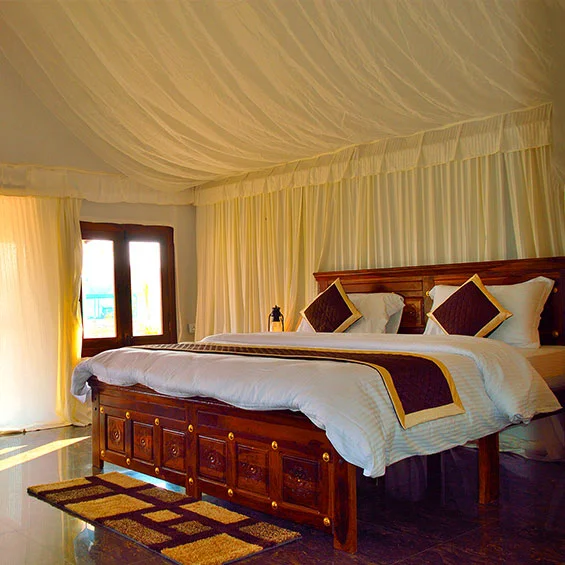 luxury tent stay in jawai